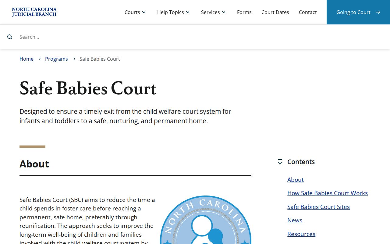 Mitchell County criminal court docket access context for Safe Babies Court confidentiality